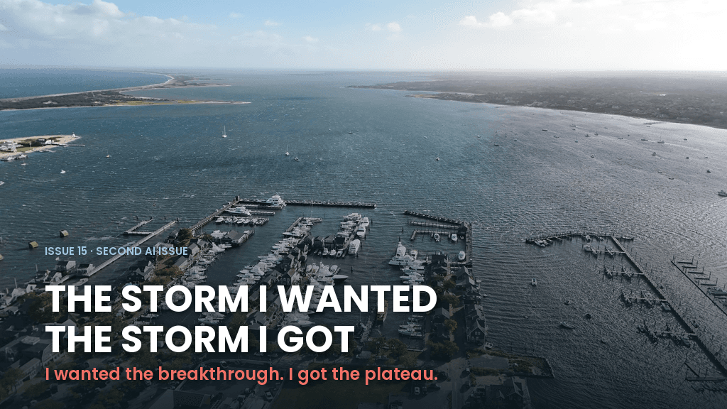 Issue 15 graphic on Nantucket harbor from the air: the storm I wanted and the storm I got. I wanted the breakthrough, I got the plateau.