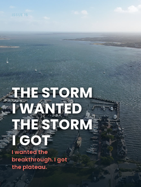 Issue 15 graphic on Nantucket harbor from the air: the storm I wanted and the storm I got. I wanted the breakthrough, I got the plateau.