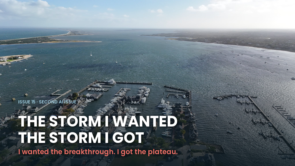 Nantucket harbor from the air. Issue 15: the storm I wanted and the storm I got. I wanted the breakthrough, I got the plateau.
